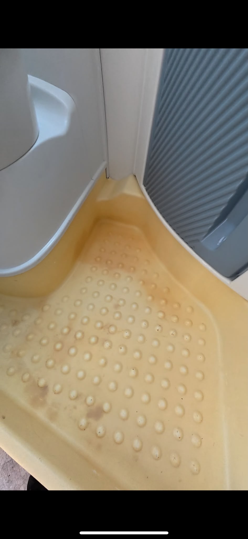 Shampouinage Siège Auto - Après