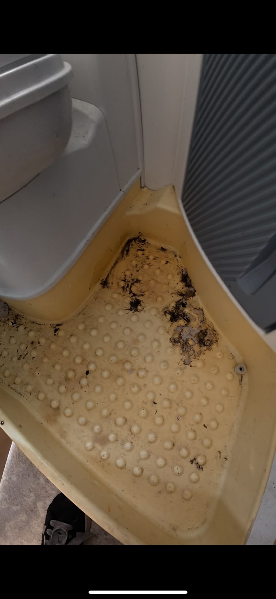 Shampouinage Siège Auto - Avant